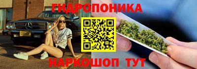 тгк Кандалакша
