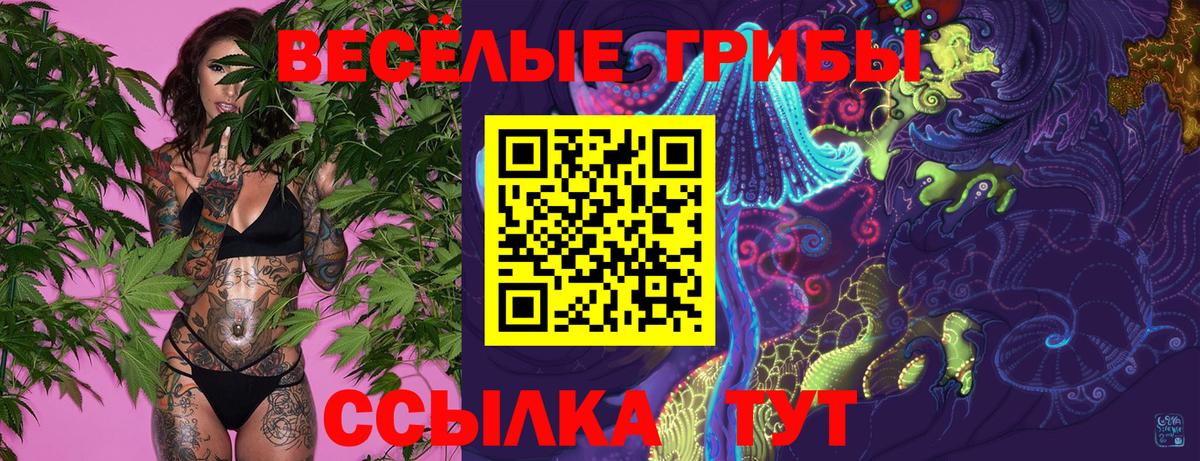 Галлюциногенные грибы Psilocybe Десногорск