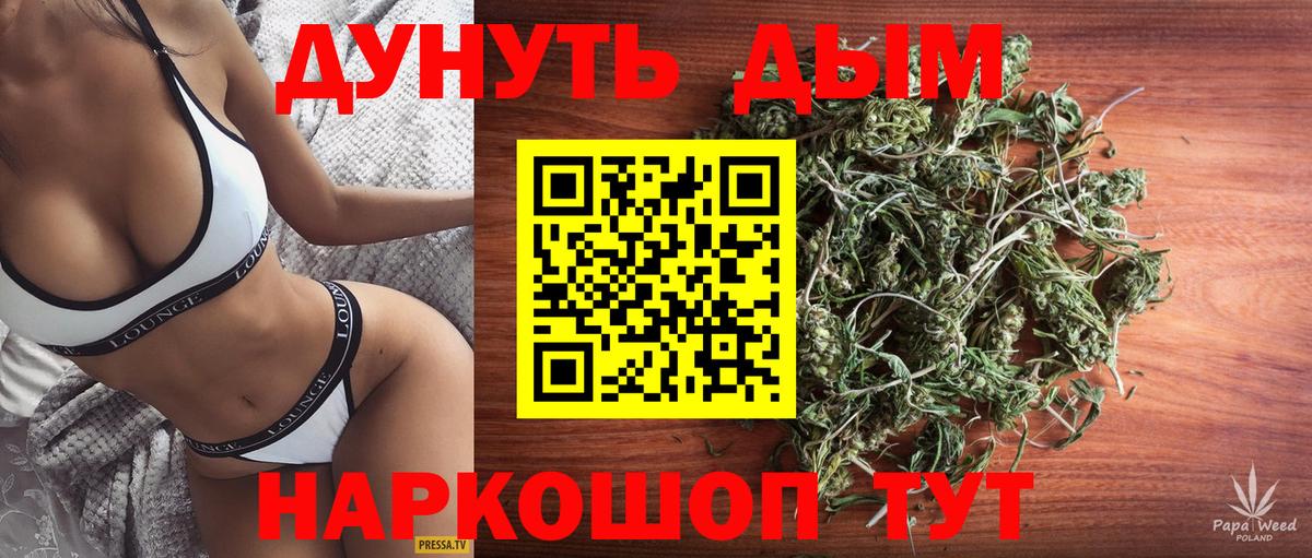 Канабис план  Бошки Шишки Bruce Banner  Бошки марихуана VHQ  Десногорск  Вход с VPN 